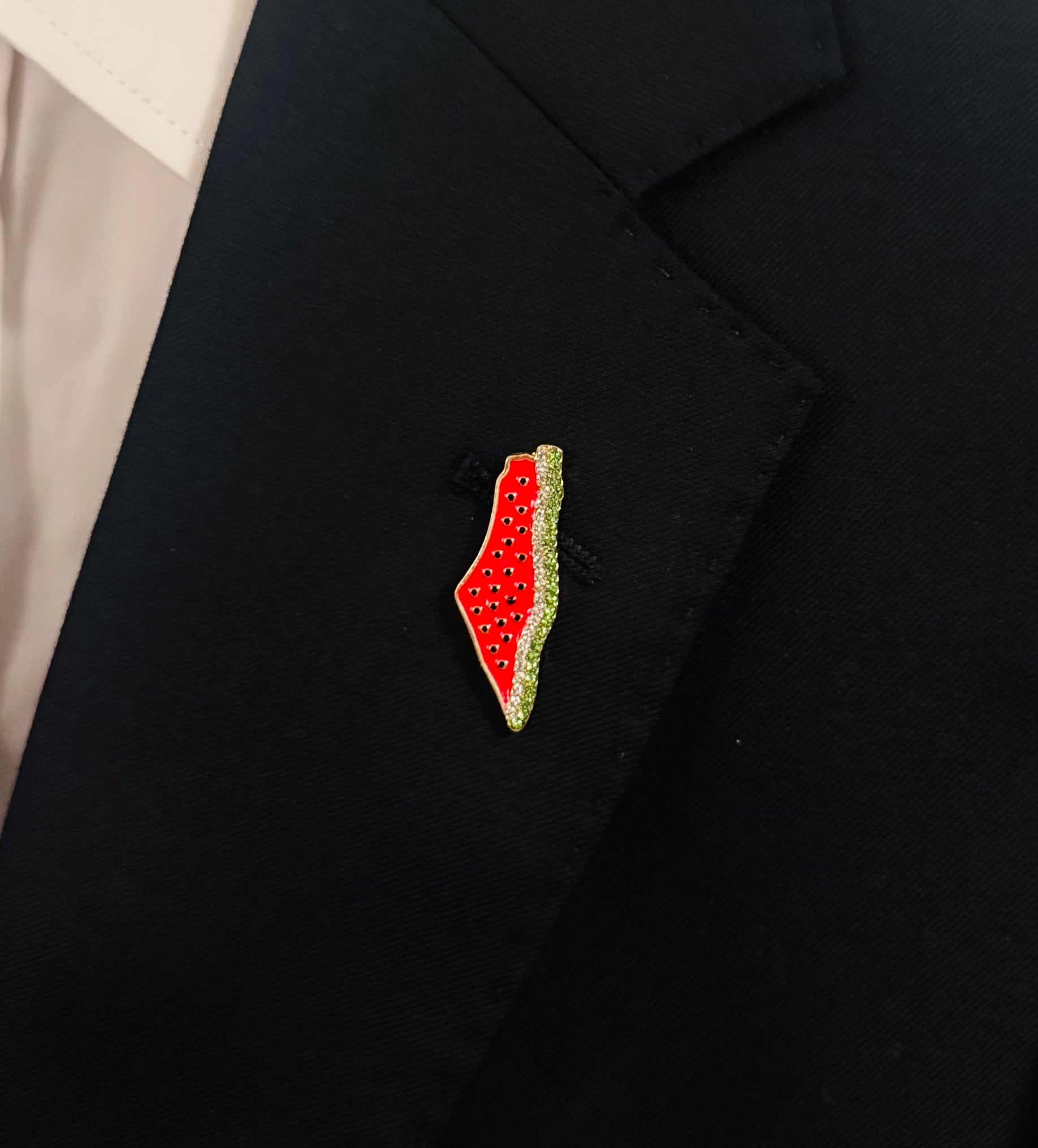 Emaljepin formet som kartet av Palestina i rødt og grønt, festet på et svart plagg.