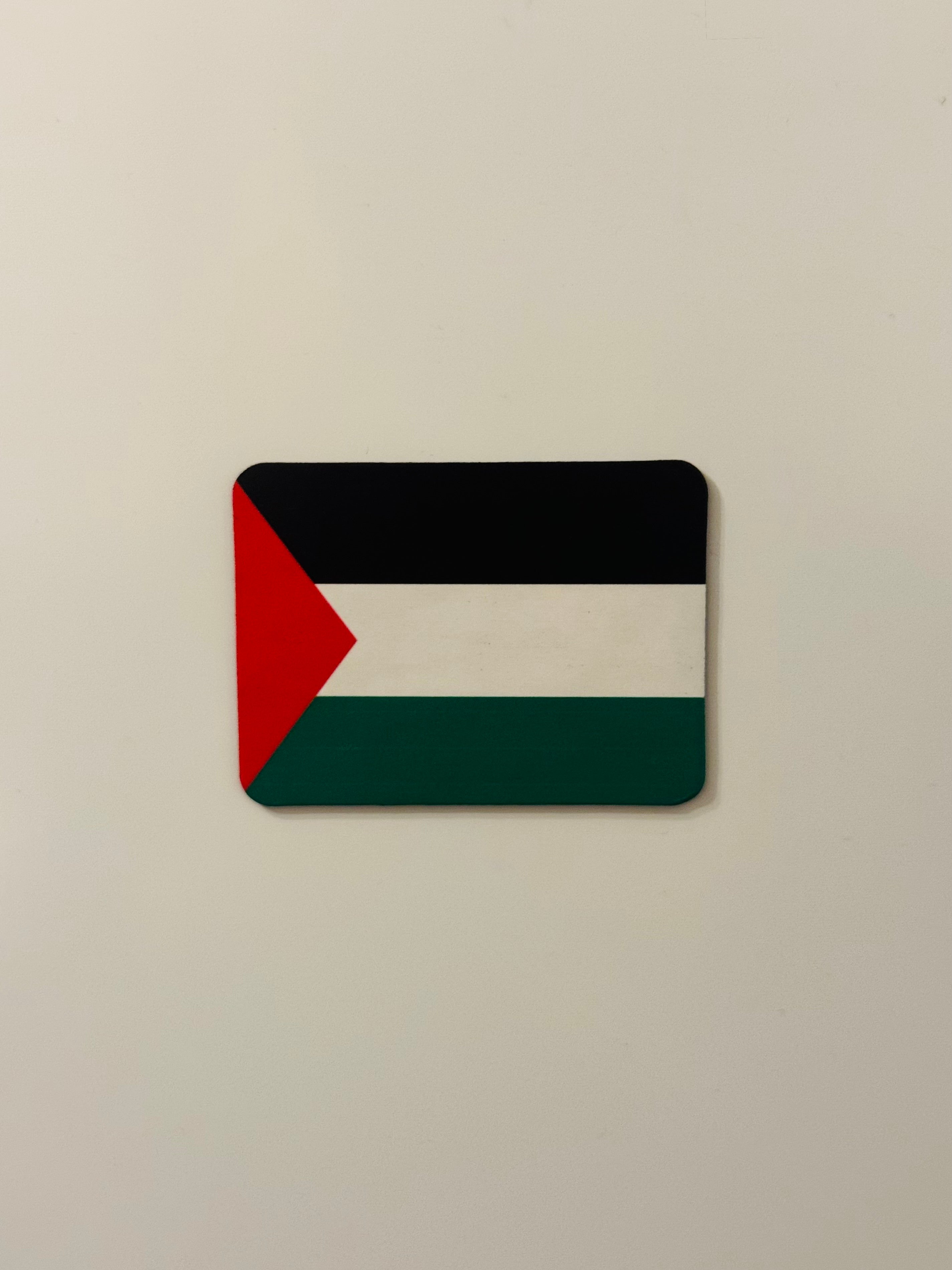 Nærbilde av Palestina-flaggmagnet på kjøleskap, med detaljer i fargene tydelig fremhevet.