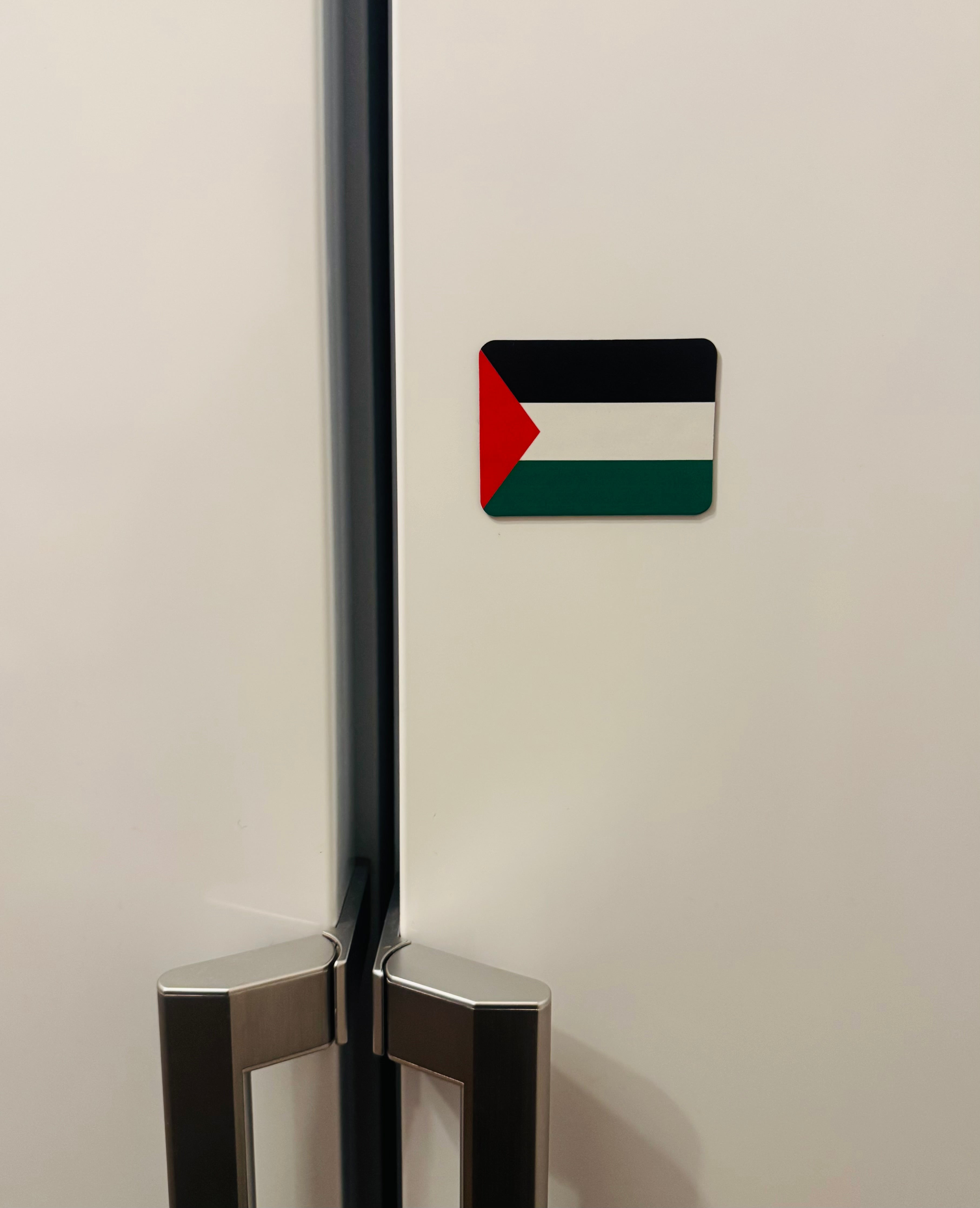 Palestina-flaggmagnet festet på et kjøleskap, med flaggets farger tydelig synlig.