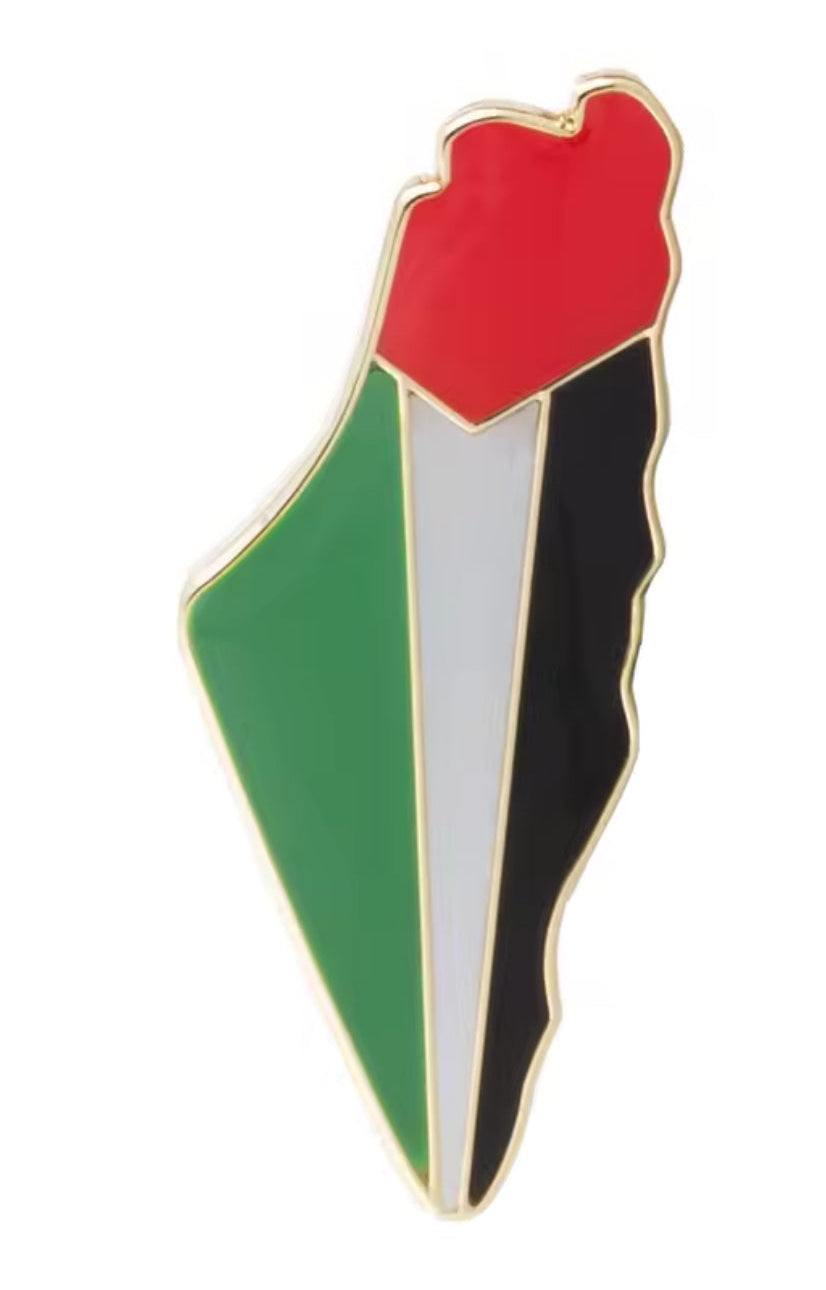 Pin formet som kartet av Palestina i palestinske farger