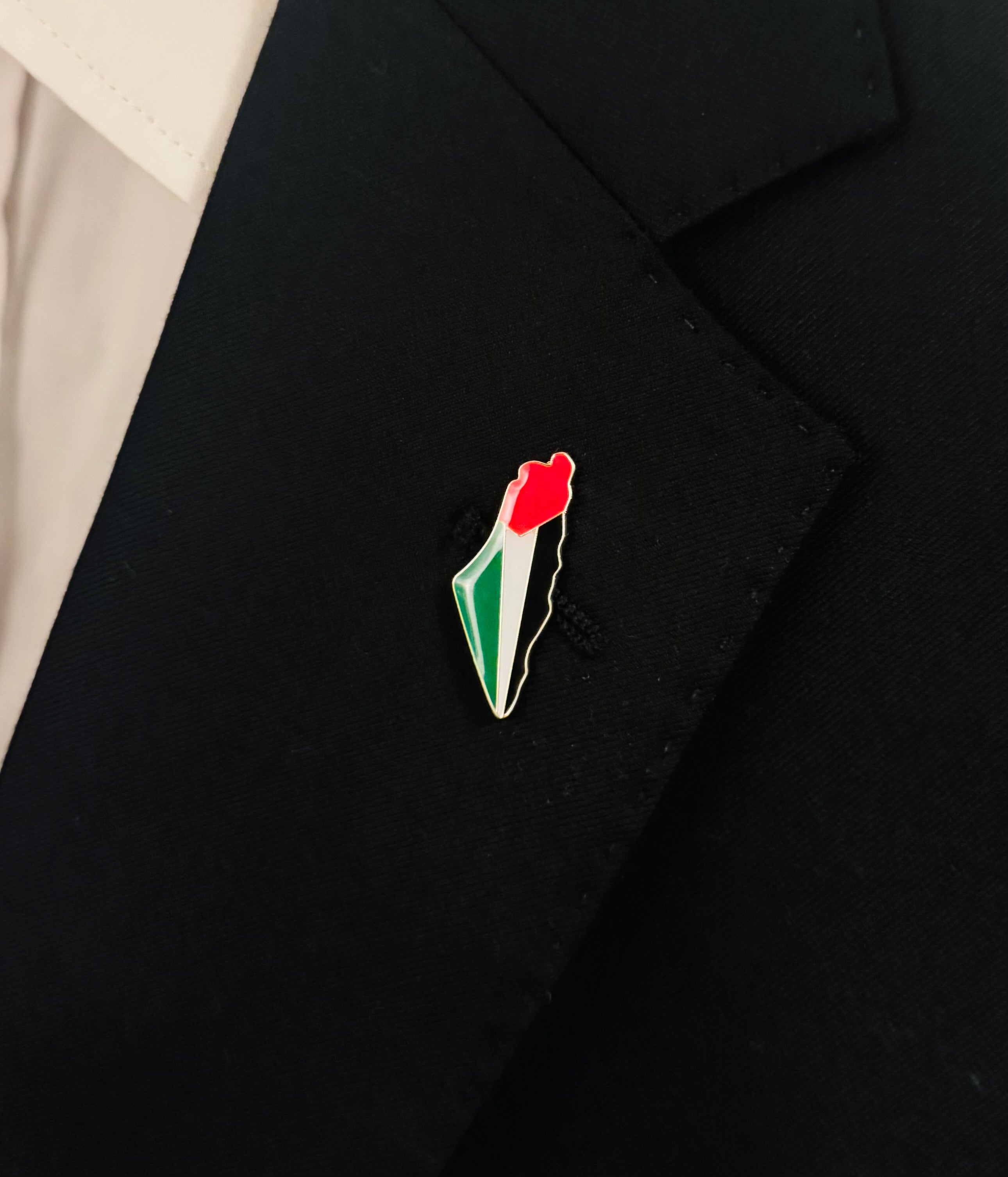 Pin formet som kartet av Palestina i palestinske farger festet på svart jakke
